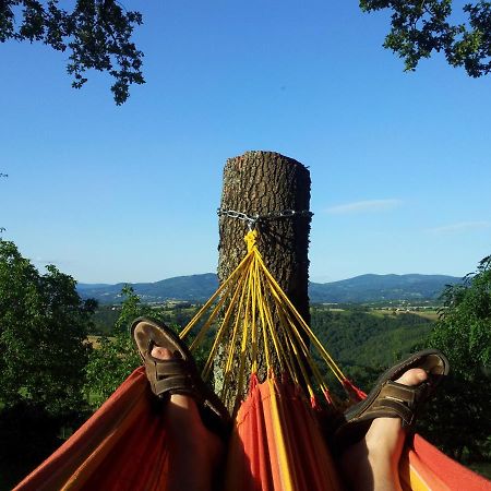 Chez Tiane Puy De Dome Bed & Breakfast Saint-Flour  Bagian luar foto
