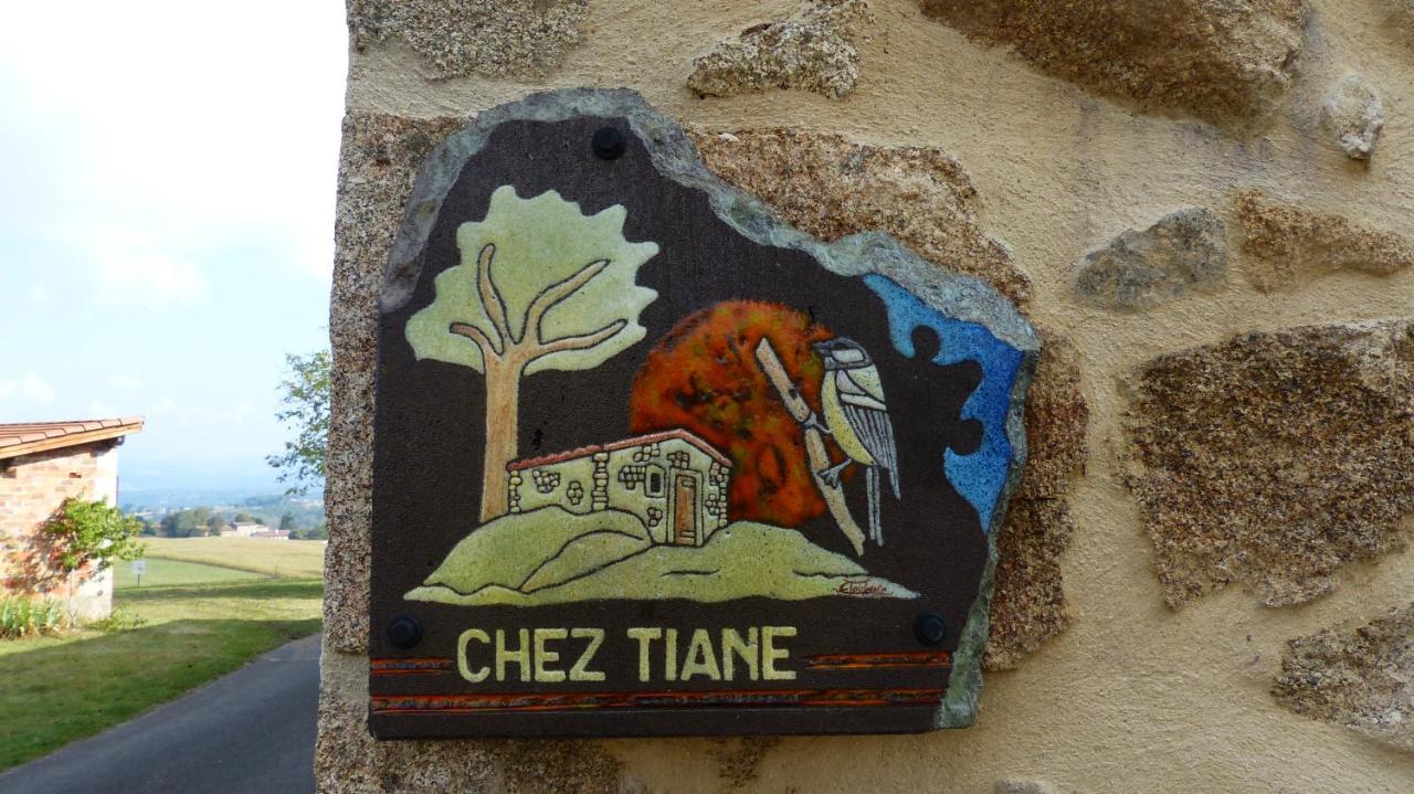 Chez Tiane Puy De Dome Bed & Breakfast Saint-Flour  Bagian luar foto