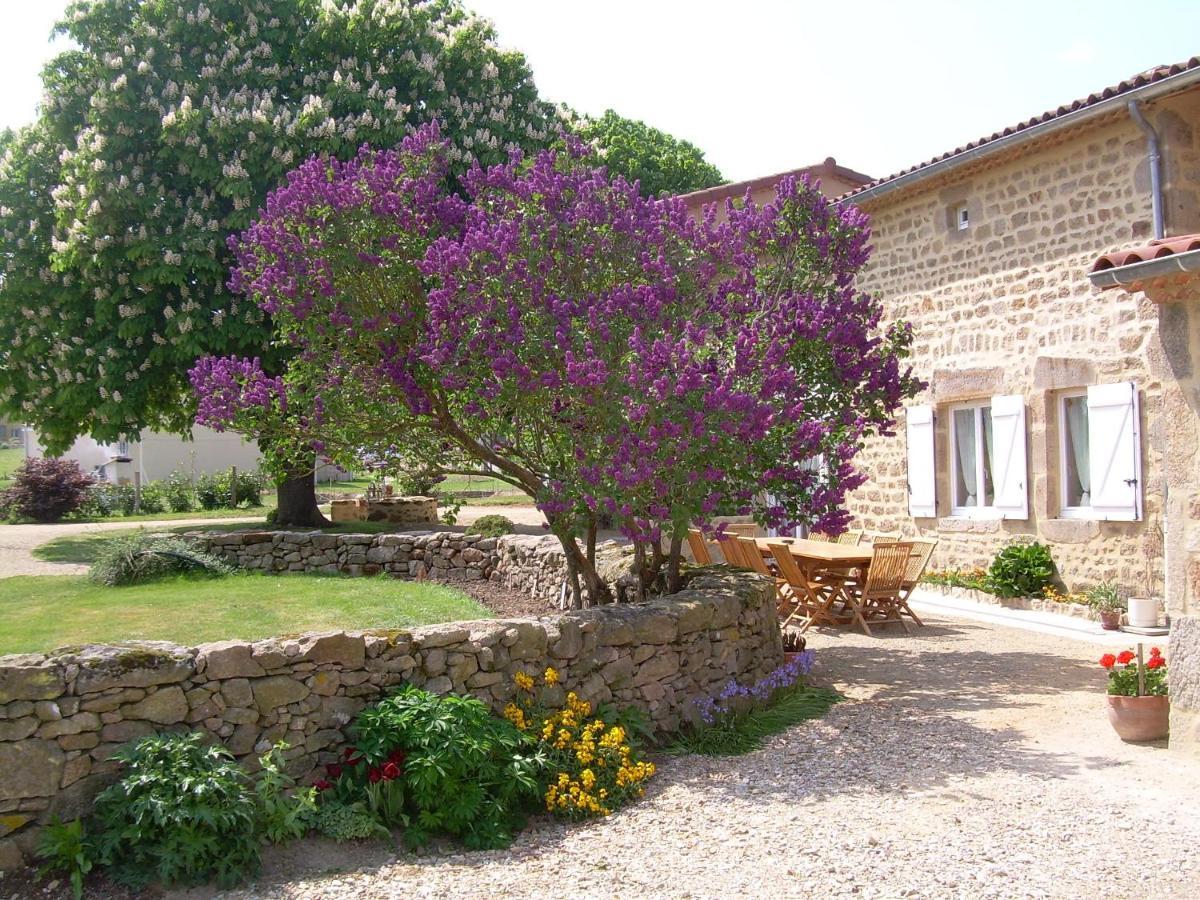 Chez Tiane Puy De Dome Bed & Breakfast Saint-Flour  Bagian luar foto